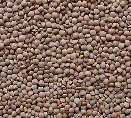 Image showing Lentils