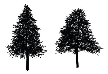 Image showing christmas trees