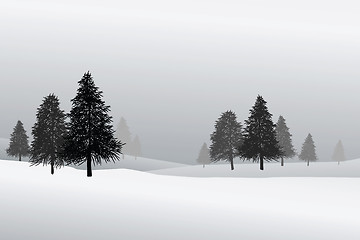 Image showing snow scene
