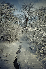 Image showing Winter forest in snow