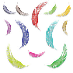 Image showing feathers in colors