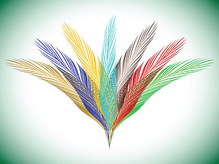 Image showing feathers fan