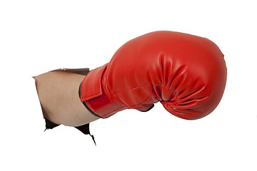 Image showing Box glove