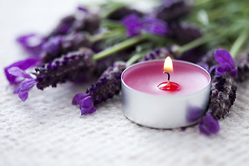 Image showing candle with lavender