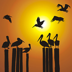 Image showing Silhouettes pelicans and sunset