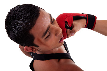 Image showing boxer fight, punch in face