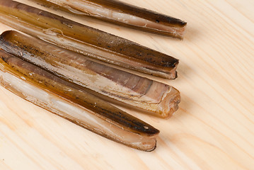 Image showing Razor clams