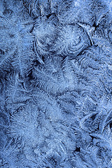 Image showing Frost patterns on window glass in winter