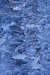 Image showing Frost patterns on window glass in winter