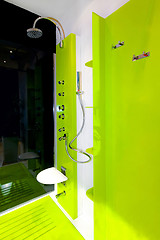 Image showing Green shower