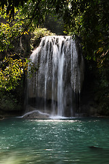 Image showing Jungle in Thailand