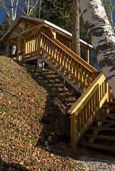 Image showing Woodland Stair Case