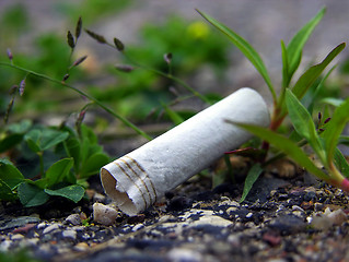 Image showing A cigarette butt litters the asphalt in an urban landscape in Lansing, Michigan (macro 8MP camera)