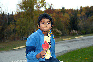 Image showing Fall Foliage