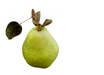 Image showing Green pear