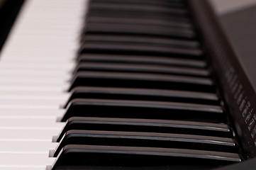 Image showing Piano Keys