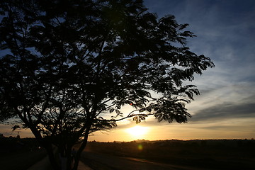 Image showing Silhouette of tree in sunset