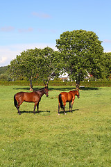 Image showing Farm in Norway