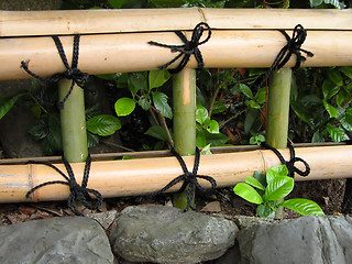 Image showing Japanese bamboo fence