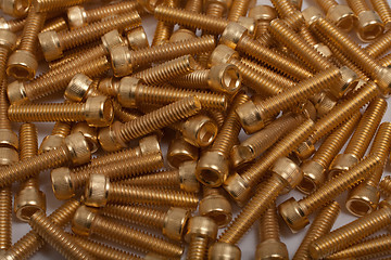 Image showing gold plated screws