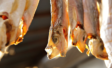 Image showing Dried Fish