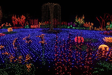 Image showing Garden of Lights