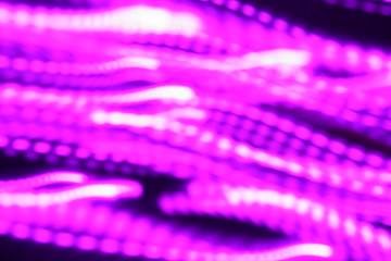 Image showing Purple Light Blur