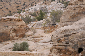 Image showing In Mountains of Petra 