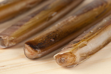 Image showing Razor clams