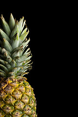 Image showing Pineapple