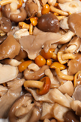 Image showing Assorted mushrooms