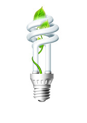 Image showing Luminous Bulb With Plant