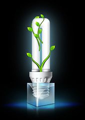 Image showing Luminous Bulb With Plant