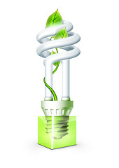 Image showing Luminous Bulb With Plant