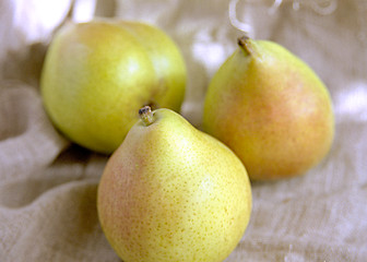 Image showing Pears III