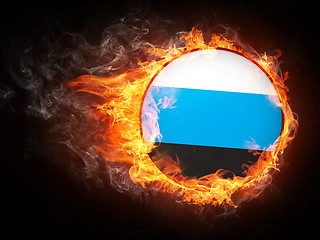 Image showing Estonia Flag