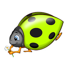 Image showing Ladybird