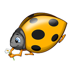 Image showing Ladybird