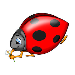 Image showing Ladybird