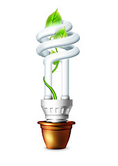 Image showing Luminous Bulb With Plant