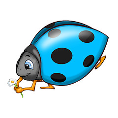 Image showing Ladybird