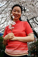 Image showing Woman holding cherry blossoms