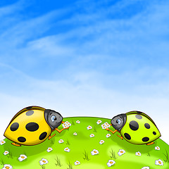 Image showing Ladybird