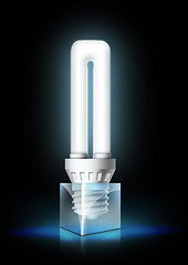 Image showing Luminous Bulb 