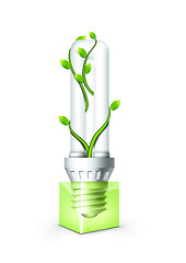 Image showing Luminous Bulb With Plant