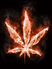 Image showing Marijuana in Fire