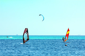 Image showing surfing