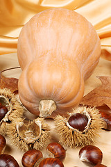 Image showing Pumpkin and chestnuts