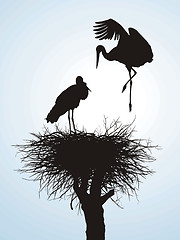 Image showing Betrothal storks