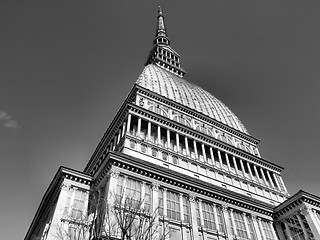 Image showing Mole Antonelliana, Turin